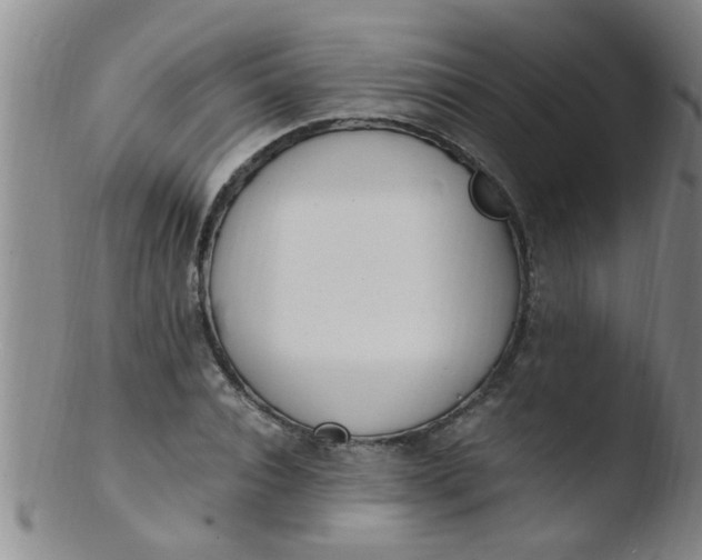 X0000103500928200809262010