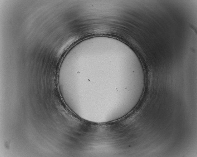 X0000103500930200809262010