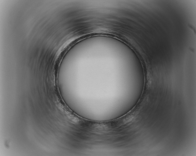 X0000103500931200809262010