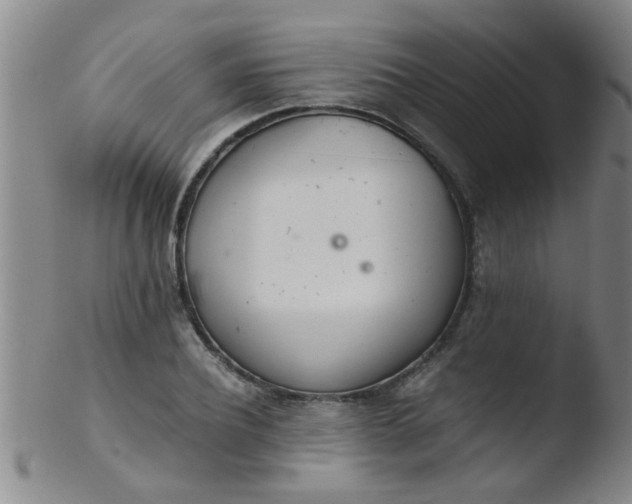 X0000103500932200809262010