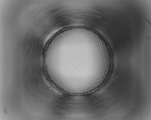 X0000103500933200809262010