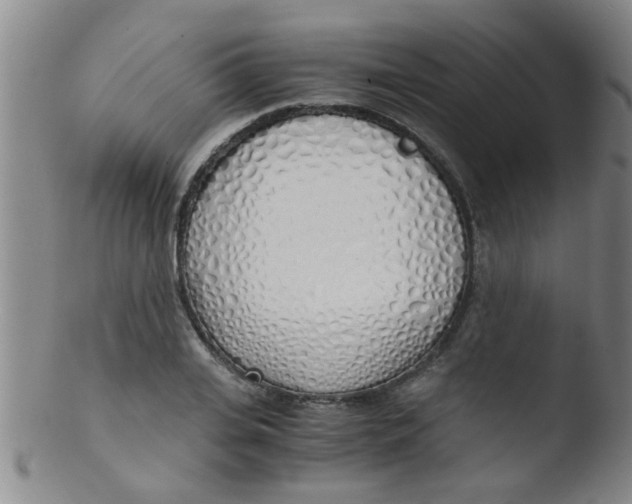 X0000103500935200809262010