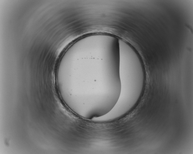 X0000103500936200809262010