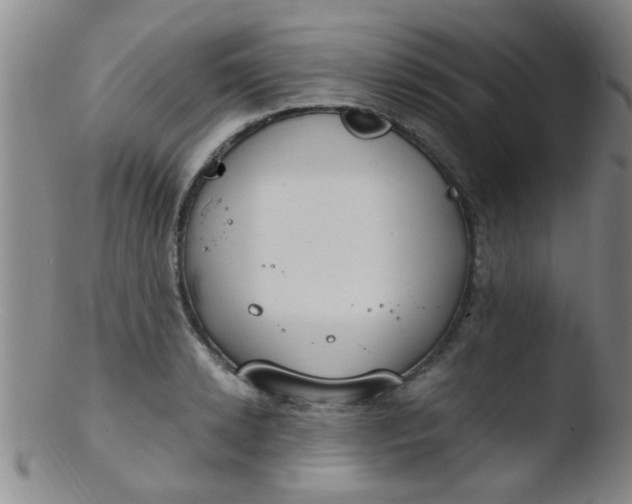 X0000103500942200809262010