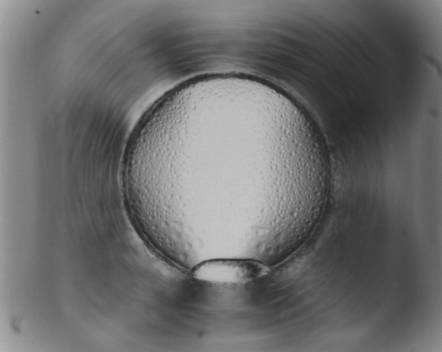 X0000103500943200809262010