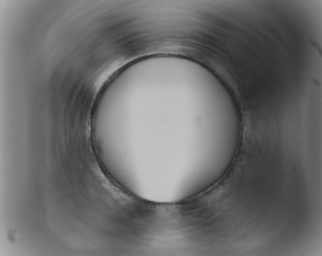 X0000103500944200809262010