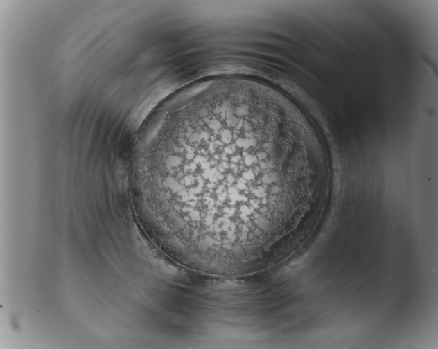 X0000103500945200809262010