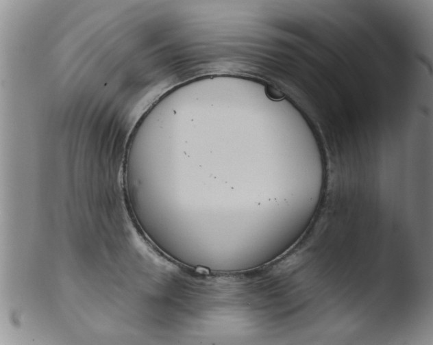 X0000103500946200809262010