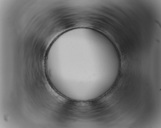 X0000103500947200809262010