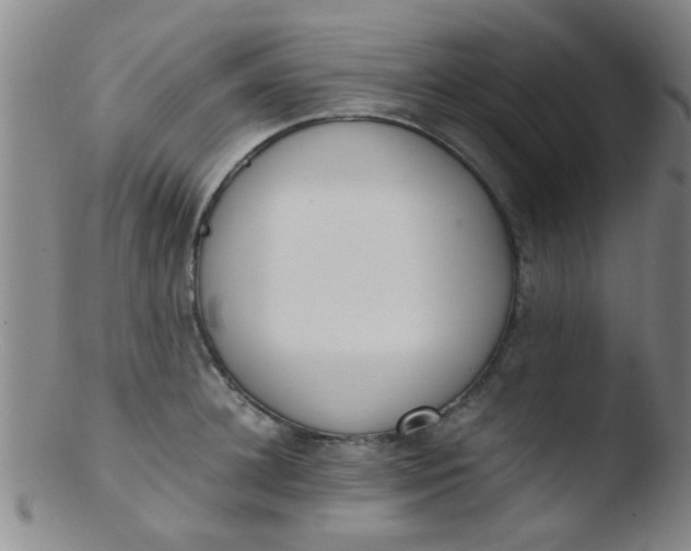 X0000103500948200809262010