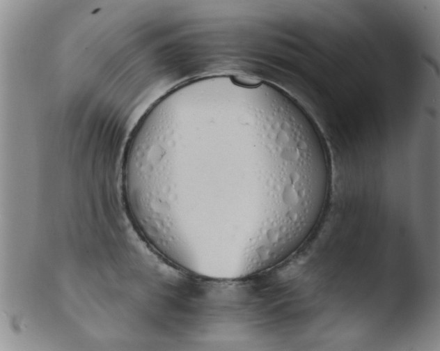 X0000103500949200809262010