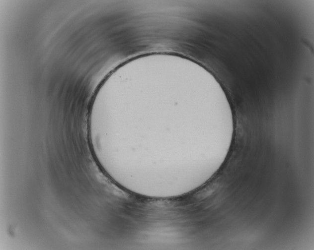 X0000103500950200809262010