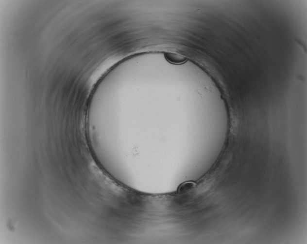 X0000103500952200809262010