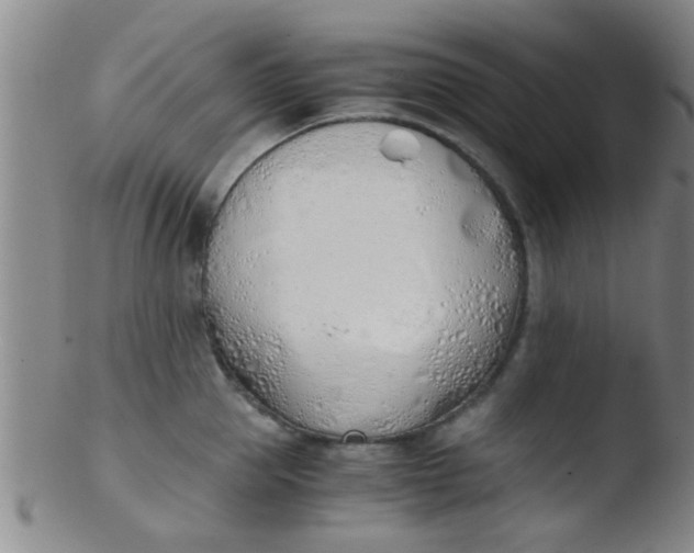 X0000103500953200809262010