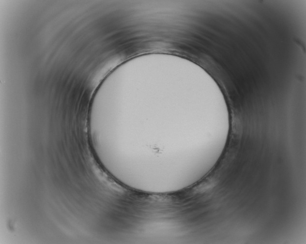 X0000103500954200809262010