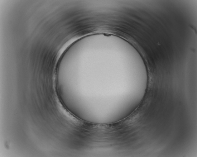 X0000103500955200809262010