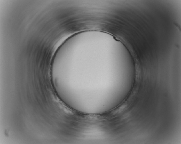 X0000103500956200809262010