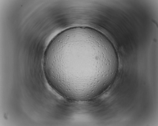 X0000103500958200809262010