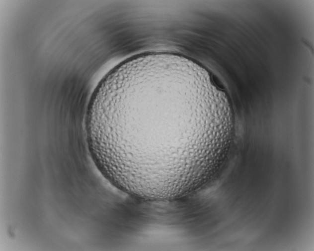 X0000103500959200809262010