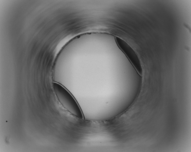 X0000103500960200809262010