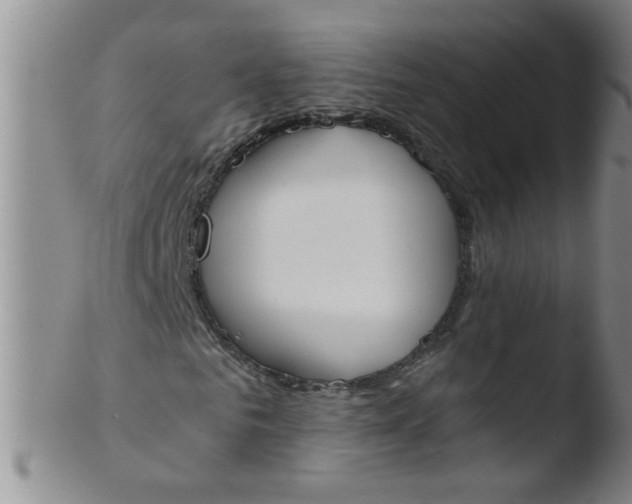 X0000103500961200809262010