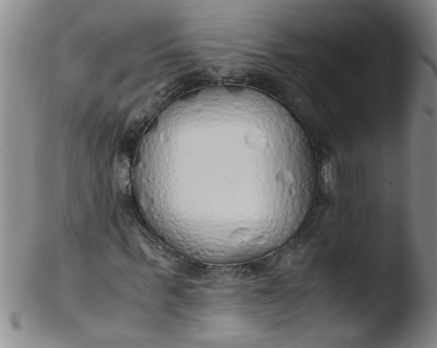 X0000103500963200809262010