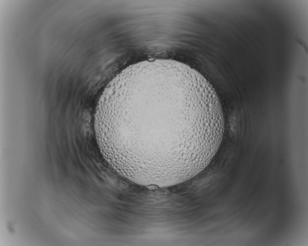 X0000103500964200809262010