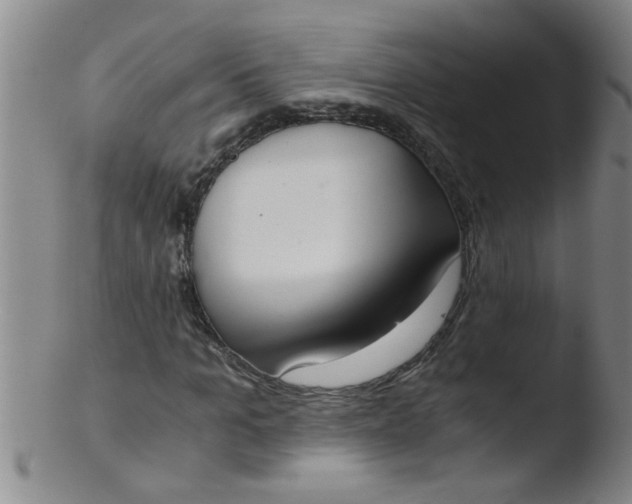 X0000103500965200809262010