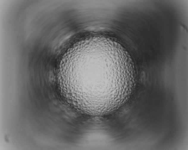 X0000103500966200809262010