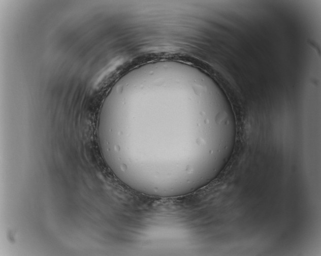 X0000103500967200809262010