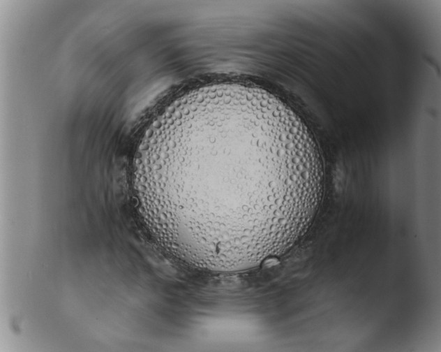 X0000103500968200809262010