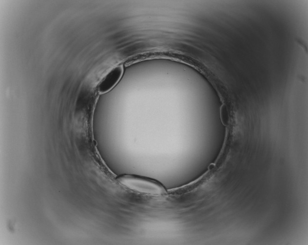 X0000103500969200809262010