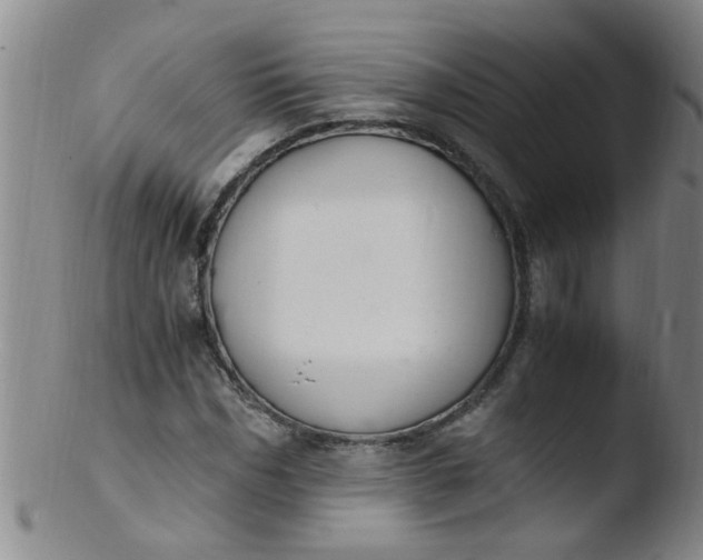 X0000103500970200809262010