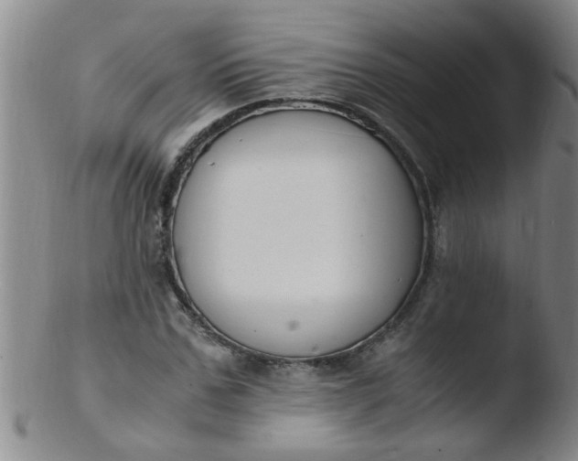 X0000103500971200809262010