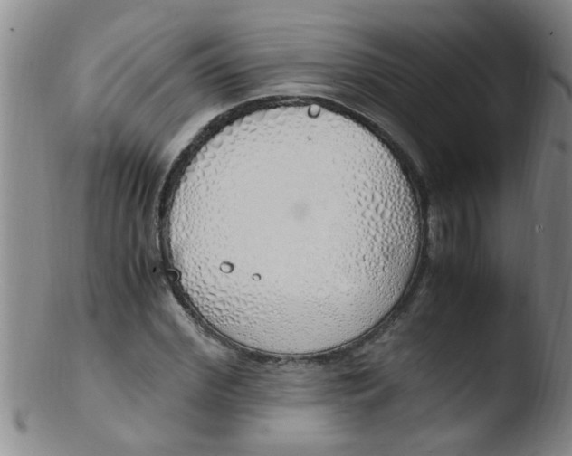 X0000103500972200809262010