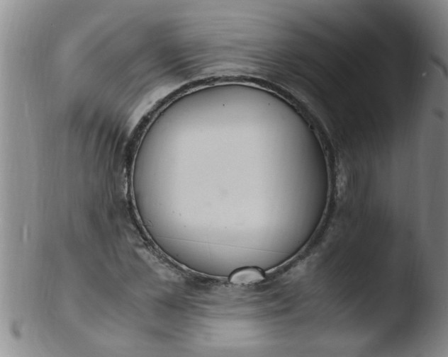 X0000103500973200809262010