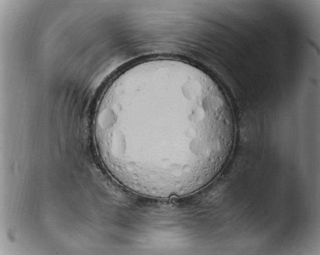 X0000103500975200809262010