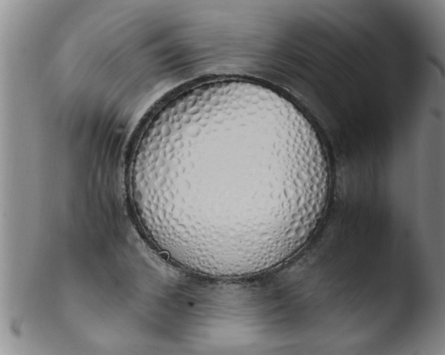 X0000103500976200809262010