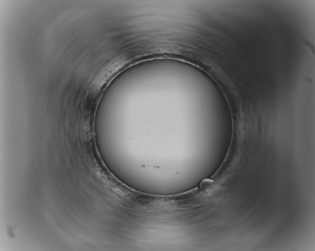 X0000103500977200809262010