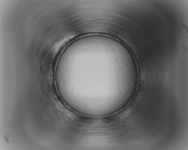 X0000103500979200809262009