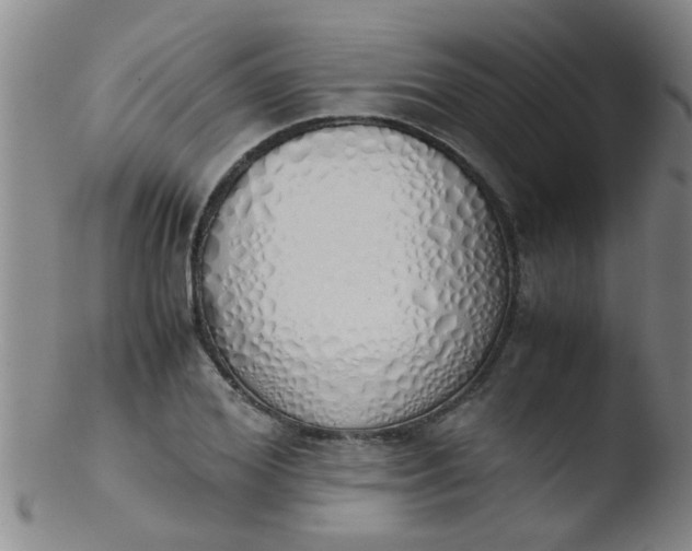 X0000103500980200809262009