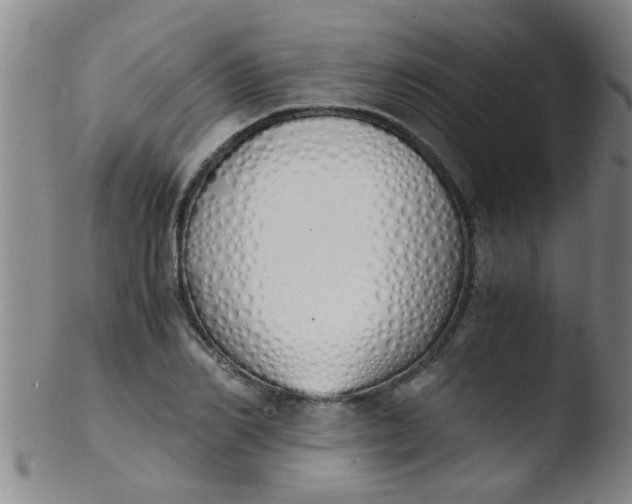 X0000103500982200809262009