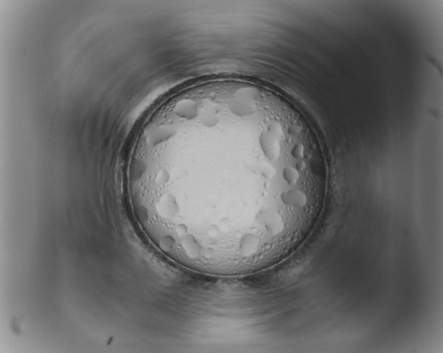 X0000103500983200809262009