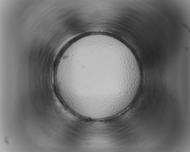 X0000103500984200809262009