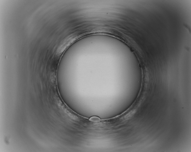 X0000103500985200809262009