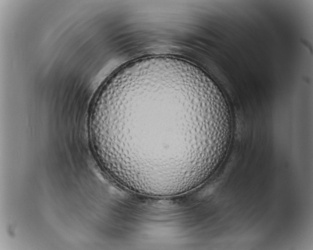 X0000103500986200809262009