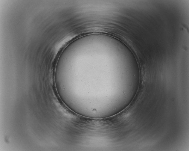 X0000103500987200809262009