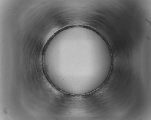 X0000103500990200809262009