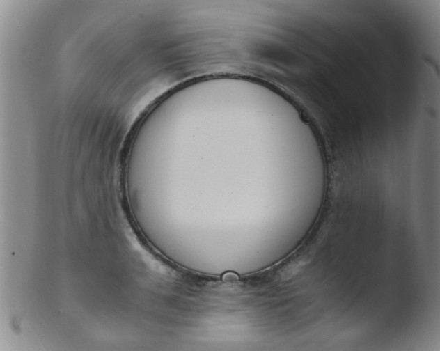 X0000103500991200809262009