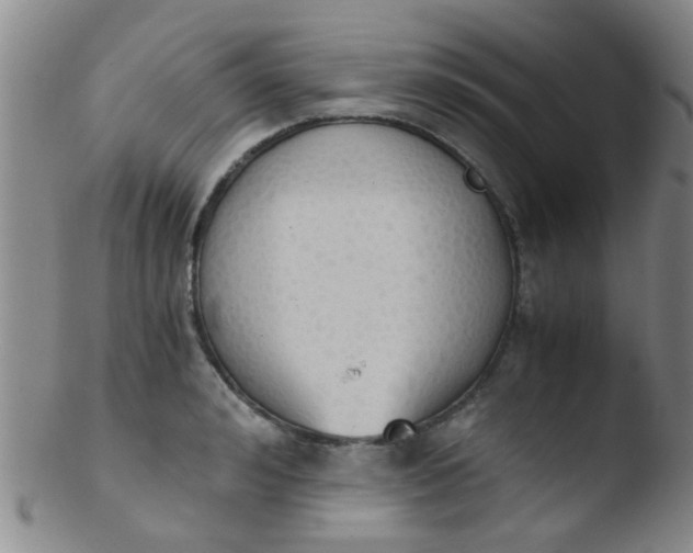 X0000103500992200809262009